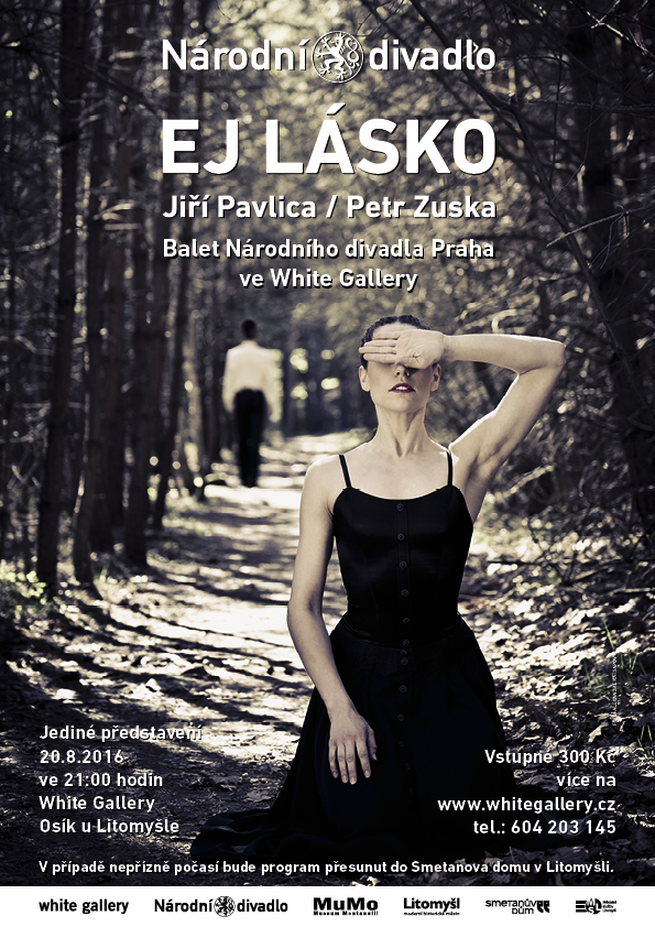 ej-lasko-poster